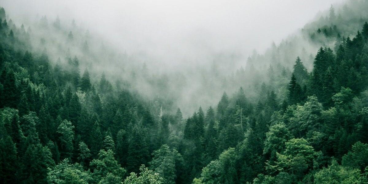 Fashion Pioneer Benedict Lamb Champions Climate Restoration Through Regenerative Design