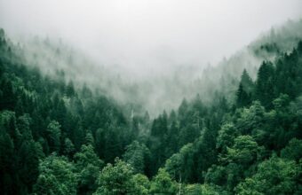Fashion Pioneer Benedict Lamb Champions Climate Restoration Through Regenerative Design