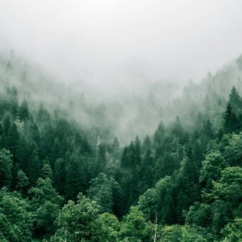 Fashion Pioneer Benedict Lamb Champions Climate Restoration Through Regenerative Design