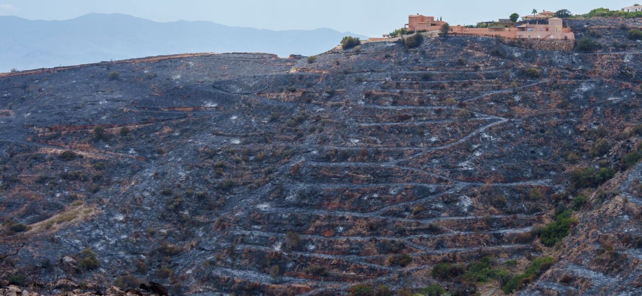 Spain’s Scars Remain: A Flamenco Truce in Andalusia’s Climate War
