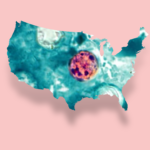Michigan’s Cyclosporiasis Quagmire: Bureaucratic Lag Casts Long Shadow