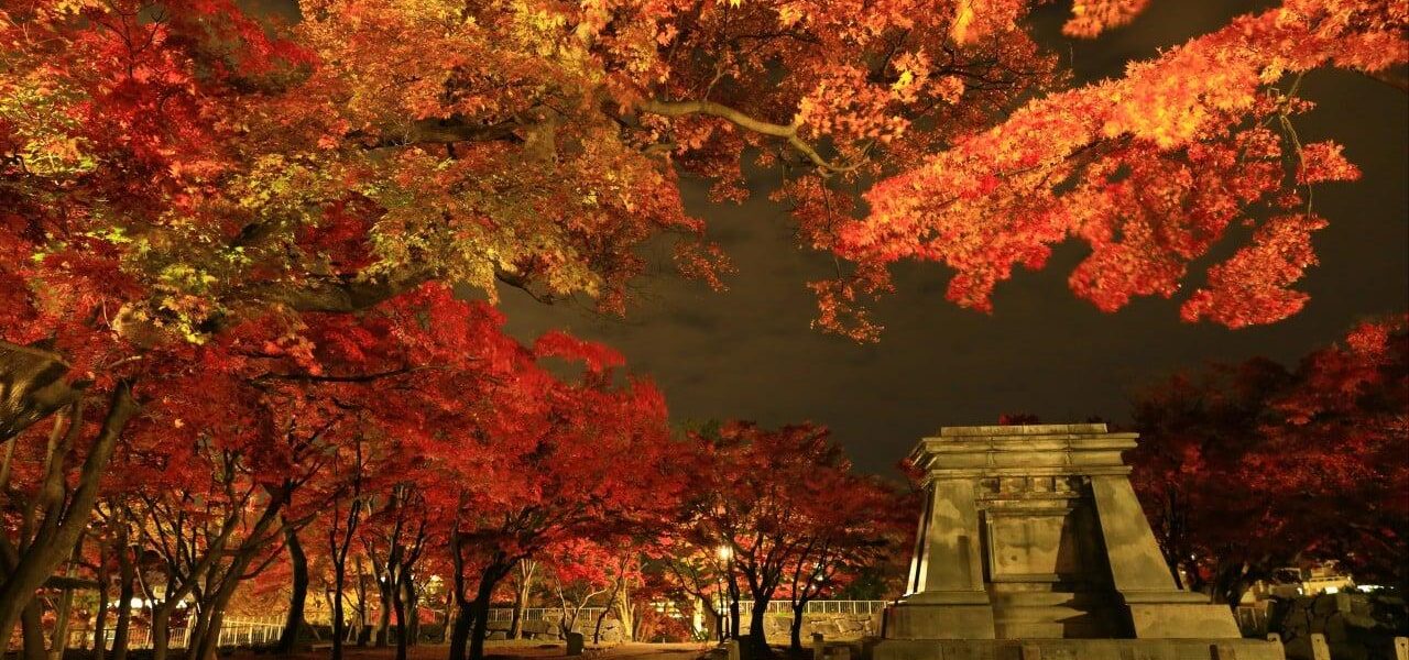 Japan’s Tohoku Region Struggles to Attract Tourists Despite National Boom