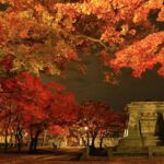 Japan’s Tohoku Region Struggles to Attract Tourists Despite National Boom Japan’s Tohoku Region Struggles to Attract Tourists Despite National Boom