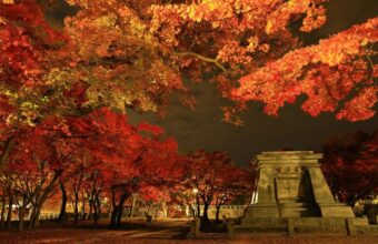 Japan’s Tohoku Region Struggles to Attract Tourists Despite National Boom Japan’s Tohoku Region Struggles to Attract Tourists Despite National Boom