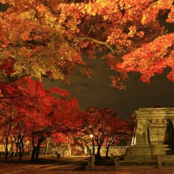 Japan’s Tohoku Region Struggles to Attract Tourists Despite National Boom