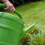 Gardening Experts Provide Essential Strategies to Preserve Plants Amid UK Hosepipe Ban