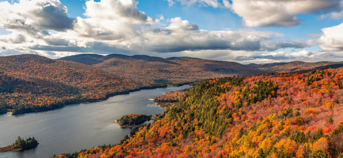 Quebec’s Wilderness: A Political Chessboard Masquerading as Nature’s Sanctuary
