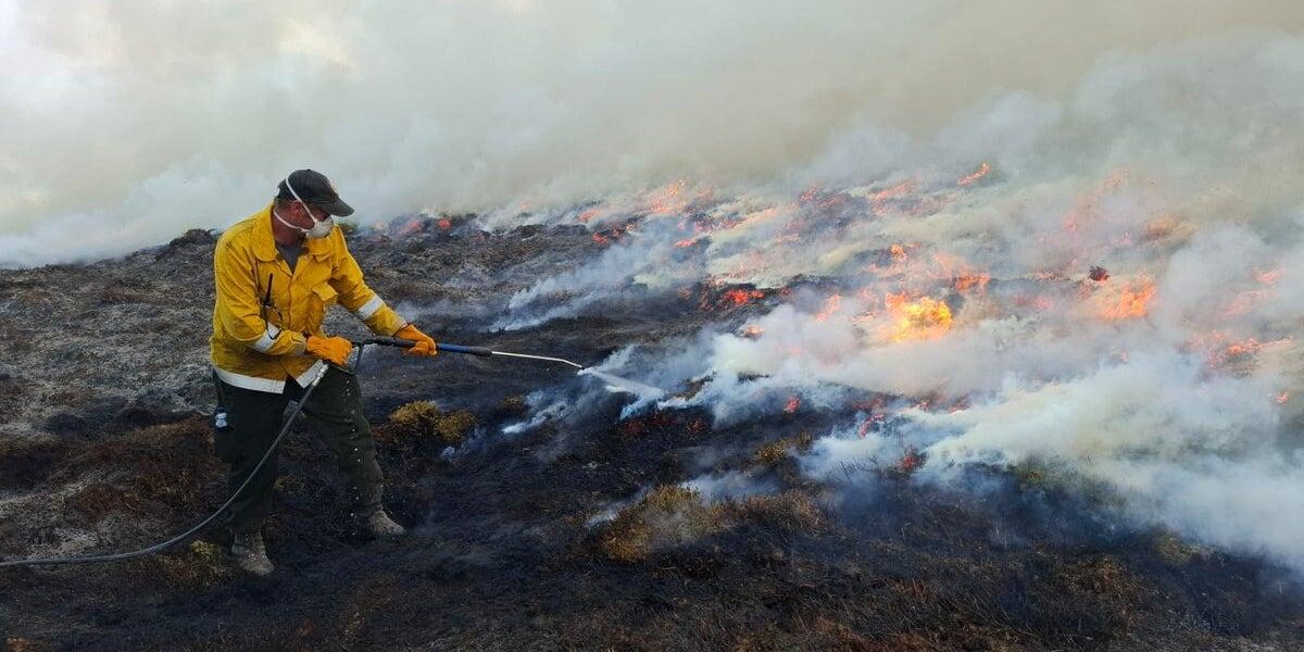 Cairngorms Wildfire: Major Incident Declared, Homes Evacuated
