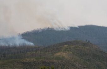 Inferno Unleashed: Sacaton Blaze Eviscerates New Mexico Lands, Unsettles a Nation’s Priorities