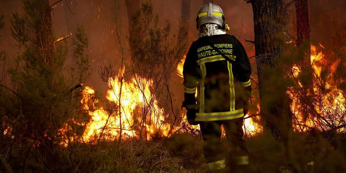 Wildfires Threaten Bordeaux Vineyards Amid Severe Drought