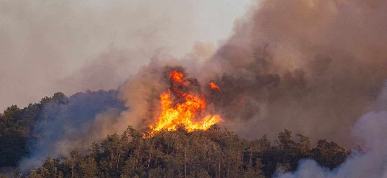 Ashes to Ashes: Spain’s Inferno, a Grim Forecast for Global Climates