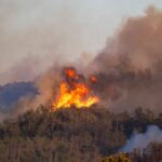 Ashes to Ashes: Spain’s Inferno, a Grim Forecast for Global Climates Ashes to Ashes: Spain’s Inferno, a Grim Forecast for Global Climates