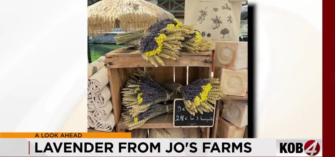 Albuquerque’s Scent of Subversion: Lavender Replaces Gunpowder for Fourth of July