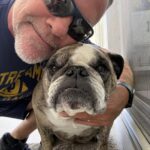 Beyond the Sidelines: How a Coach’s Canine Companion Shapes Notre Dame’s High-Stakes Recruiting War