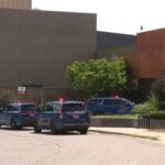 Retail Apocalypse: Michigan Mall Carnage Reflects Deeper Disquiet