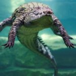 Israel Reclassifies Crocodiles to Enhance Prison Security Israel Reclassifies Crocodiles to Enhance Prison Security