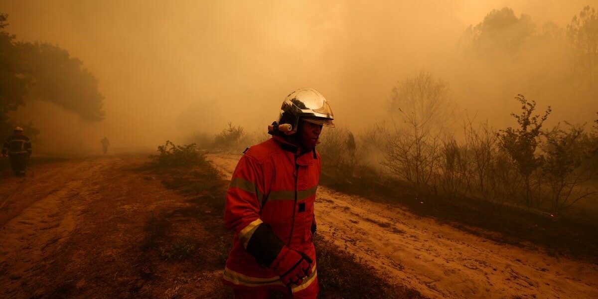 Thousands Flee Wildfires as France Faces Catastrophic Blaze