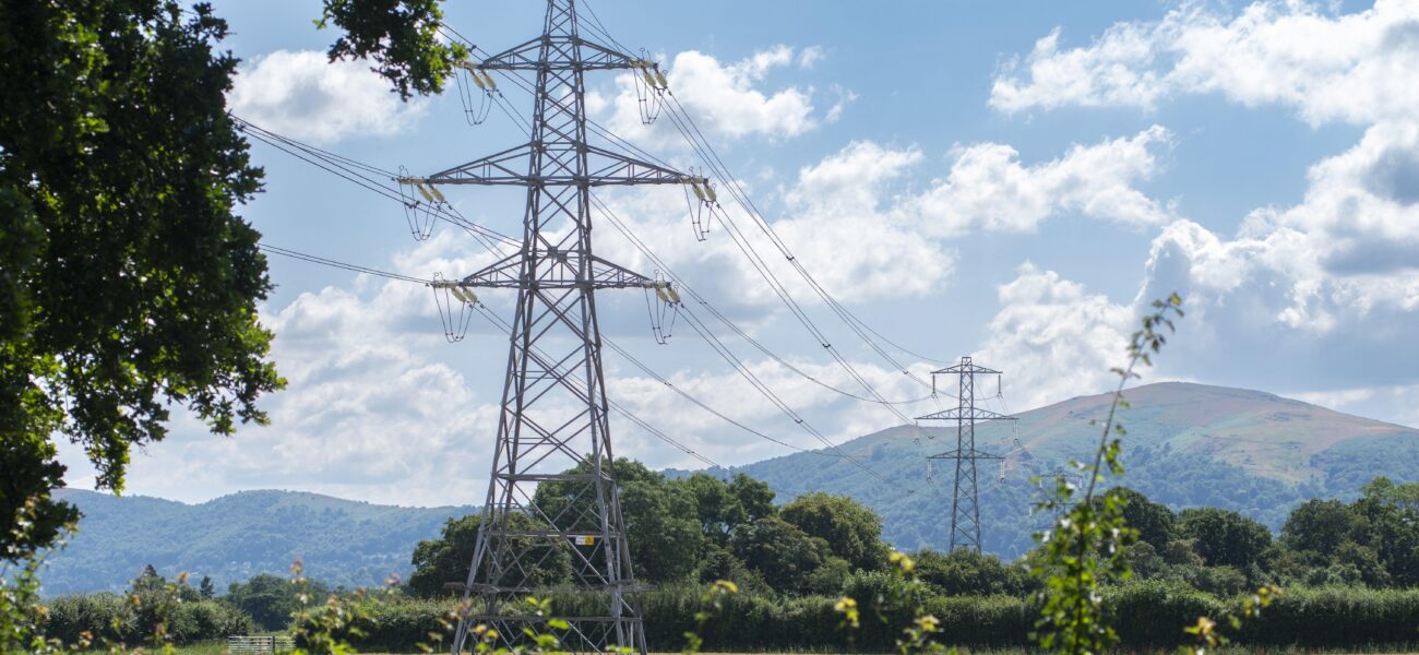 Judge Sides With Plow Over Pylon: A Rural Reckoning for Infrastructure Goliaths