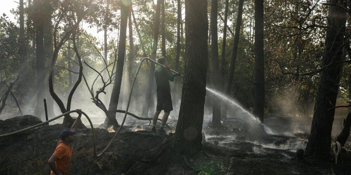 French Wildfires Force Evacuation of 220,000; British Travelers Undeterred