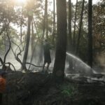 French Wildfires Force Evacuation of 220,000; British Travelers Undeterred