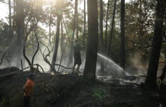 French Wildfires Force Evacuation of 220,000; British Travelers Undeterred