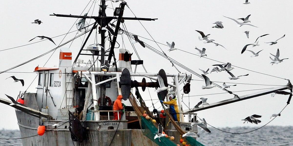 NOAA Report: Gulf of Maine Warming Slows, Ecosystem Remains Unstable