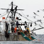 NOAA Report: Gulf of Maine Warming Slows, Ecosystem Remains Unstable