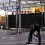 Seattle Food Festival Shooting: Police Identify Three Shooters, One Deceased