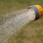 Water Scarcity Crisis: Hosepipe Ban Affects 20 Million UK Customers Water Scarcity Crisis: Hosepipe Ban Affects 20 Million UK Customers