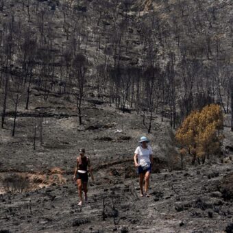 Ash and Iron: Spain’s Deadly Wildfire Ignites Hard Truths on Europe’s Climate Edge