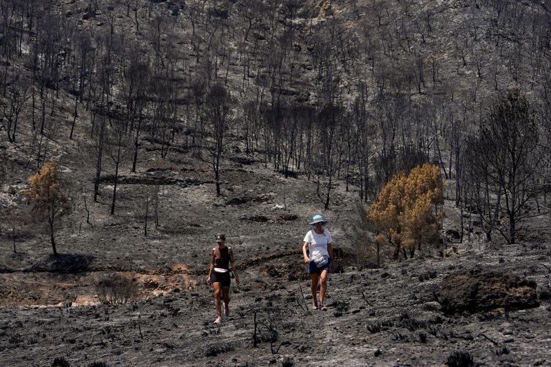 Ash and Iron: Spain’s Deadly Wildfire Ignites Hard Truths on Europe’s Climate Edge