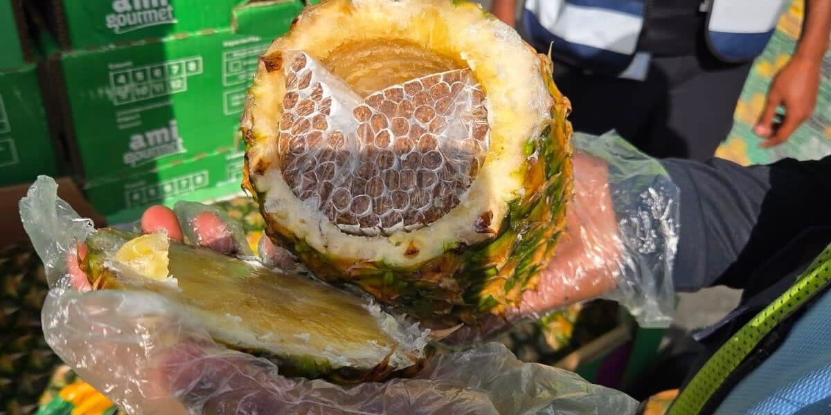 The Art of Contraband: Pineapples, Smokes, and Gaza’s Unseen Hustle