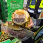 The Art of Contraband: Pineapples, Smokes, and Gaza’s Unseen Hustle
