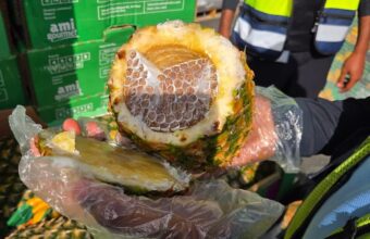 The Art of Contraband: Pineapples, Smokes, and Gaza’s Unseen Hustle