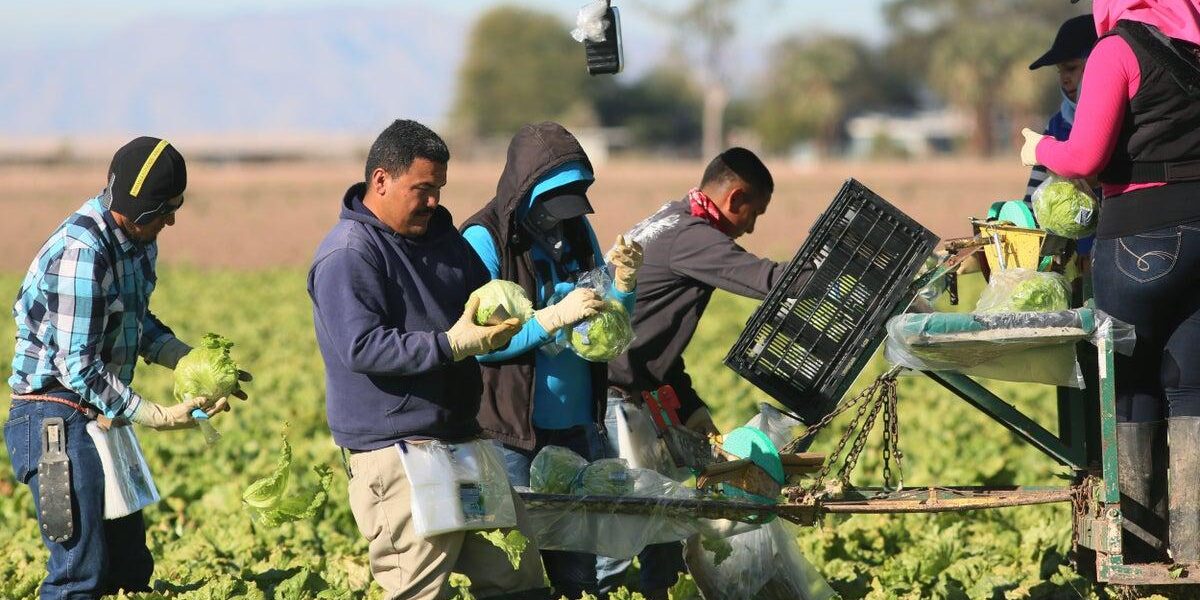 Cyclospora Outbreak: Parasite Transmission and Food Supply Contamination Investigated