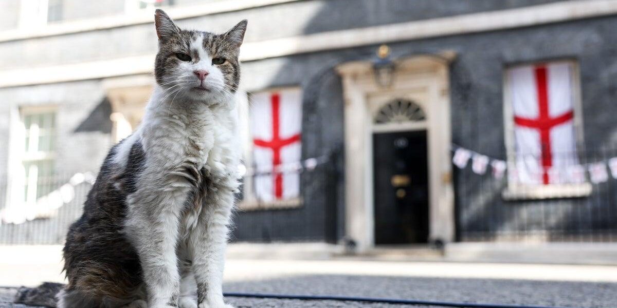 Larry the Cat Greets New UK Prime Minister at 10 Downing Street