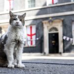 Larry the Cat Greets New UK Prime Minister at 10 Downing Street Larry the Cat Greets New UK Prime Minister at 10 Downing Street