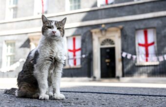 Larry the Cat Greets New UK Prime Minister at 10 Downing Street