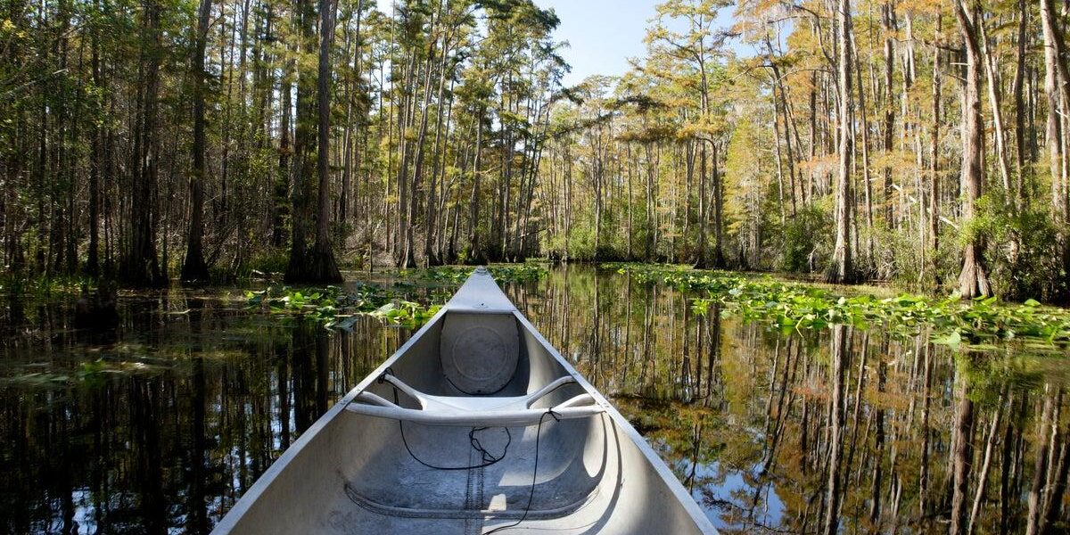 Okefenokee Swamp’s World Heritage Bid Sparks Local Debate