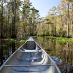 Okefenokee Swamp’s World Heritage Bid Sparks Local Debate Okefenokee Swamp’s World Heritage Bid Sparks Local Debate