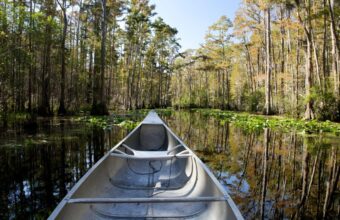 Okefenokee Swamp’s World Heritage Bid Sparks Local Debate