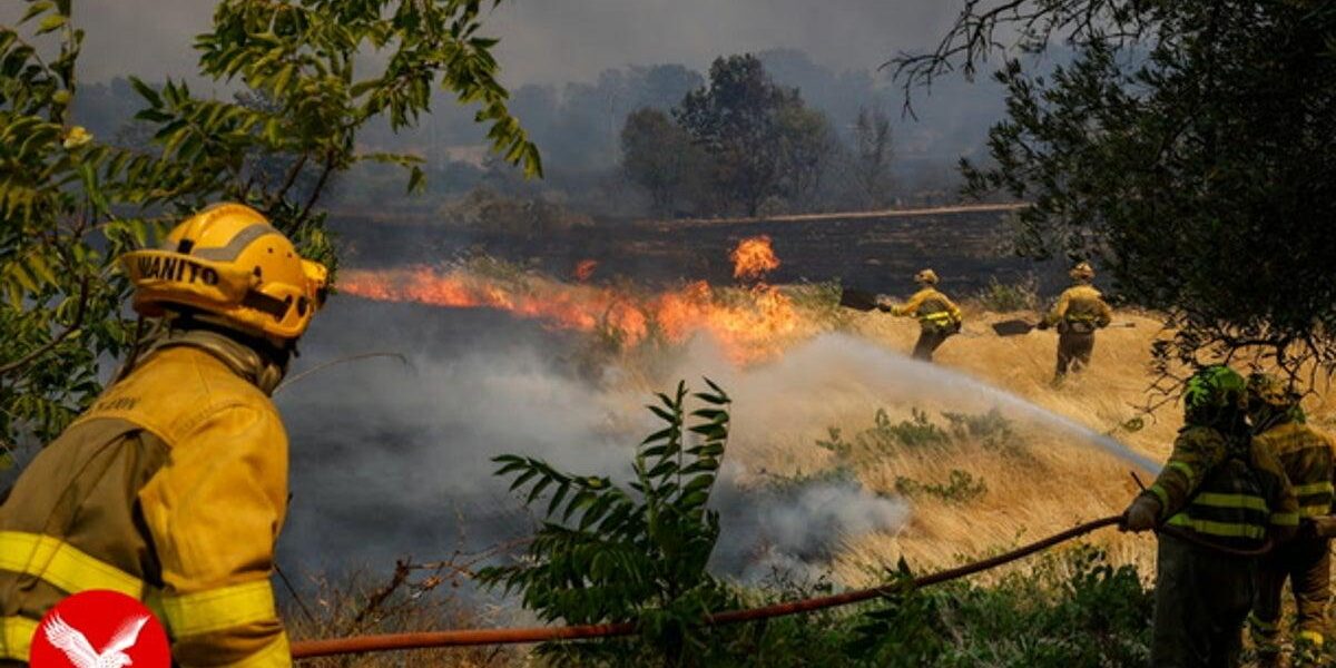 Wildfires Devastate Spain: Homes Engulfed in Flames