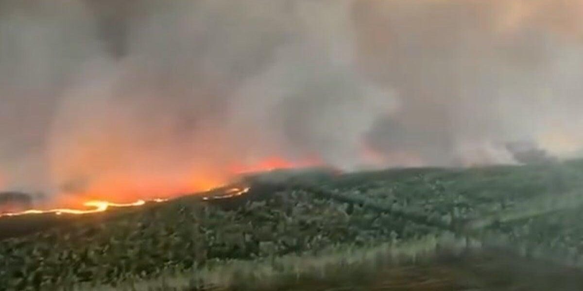 Aerial Footage Reveals Devastating Wildfires Near Bordeaux