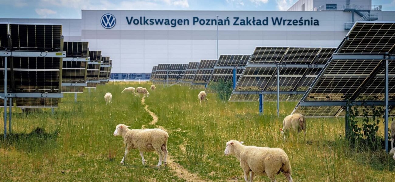 From Dieselgate to Dorsets: Volkswagen’s Quirky Green Gamble
