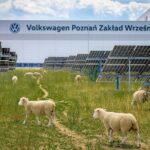 From Dieselgate to Dorsets: Volkswagen’s Quirky Green Gamble From Dieselgate to Dorsets: Volkswagen’s Quirky Green Gamble