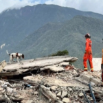 Whimper in the Rubble: Two Canines, 500 Buildings, and a Nation’s Weary Hope