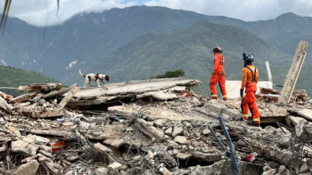 Whimper in the Rubble: Two Canines, 500 Buildings, and a Nation’s Weary Hope