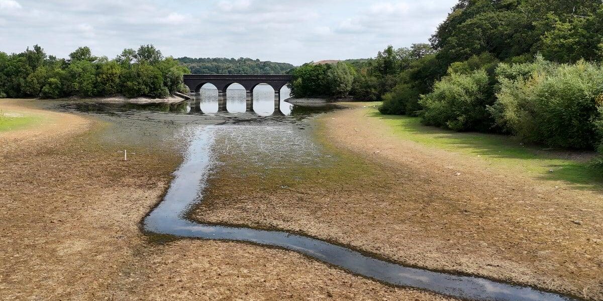UK Prepares for Fourth Summer Heatwave as Temperatures Expected to Reach 35C
