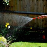 Hosepipe Ban: Strategic Plant Care to Navigate Water Restrictions Hosepipe Ban: Strategic Plant Care to Navigate Water Restrictions