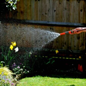 Hosepipe Ban: Strategic Plant Care to Navigate Water Restrictions